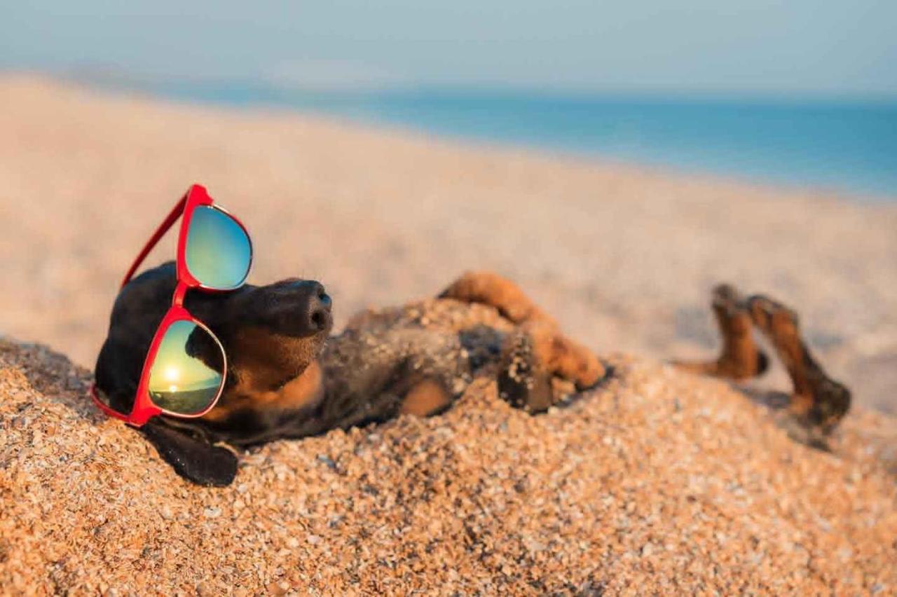 Villaggio Turistico Camping Il Fontino Scarlino Esterno foto