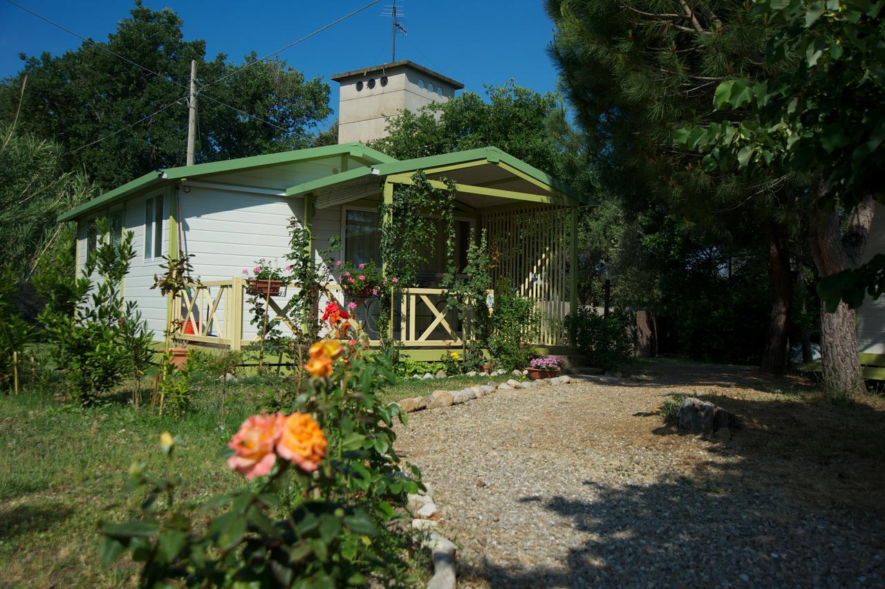 Villaggio Turistico Camping Il Fontino Scarlino Esterno foto